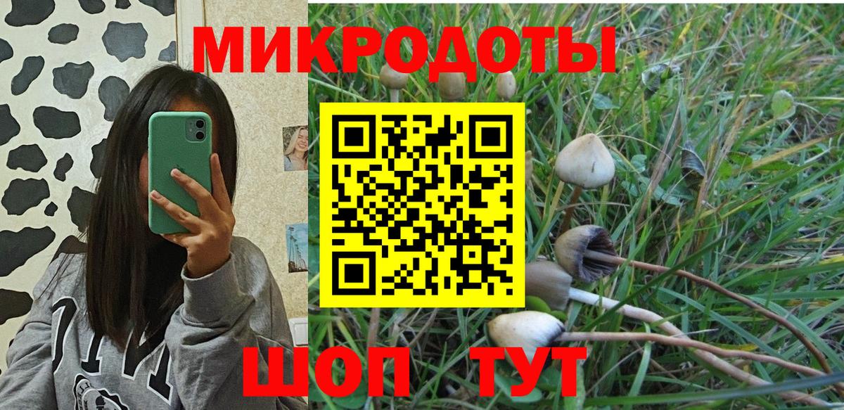 Ленинск-Кузнецкий  Галлюциногенные грибы GOLDEN TEACHER  Вход с VPN 